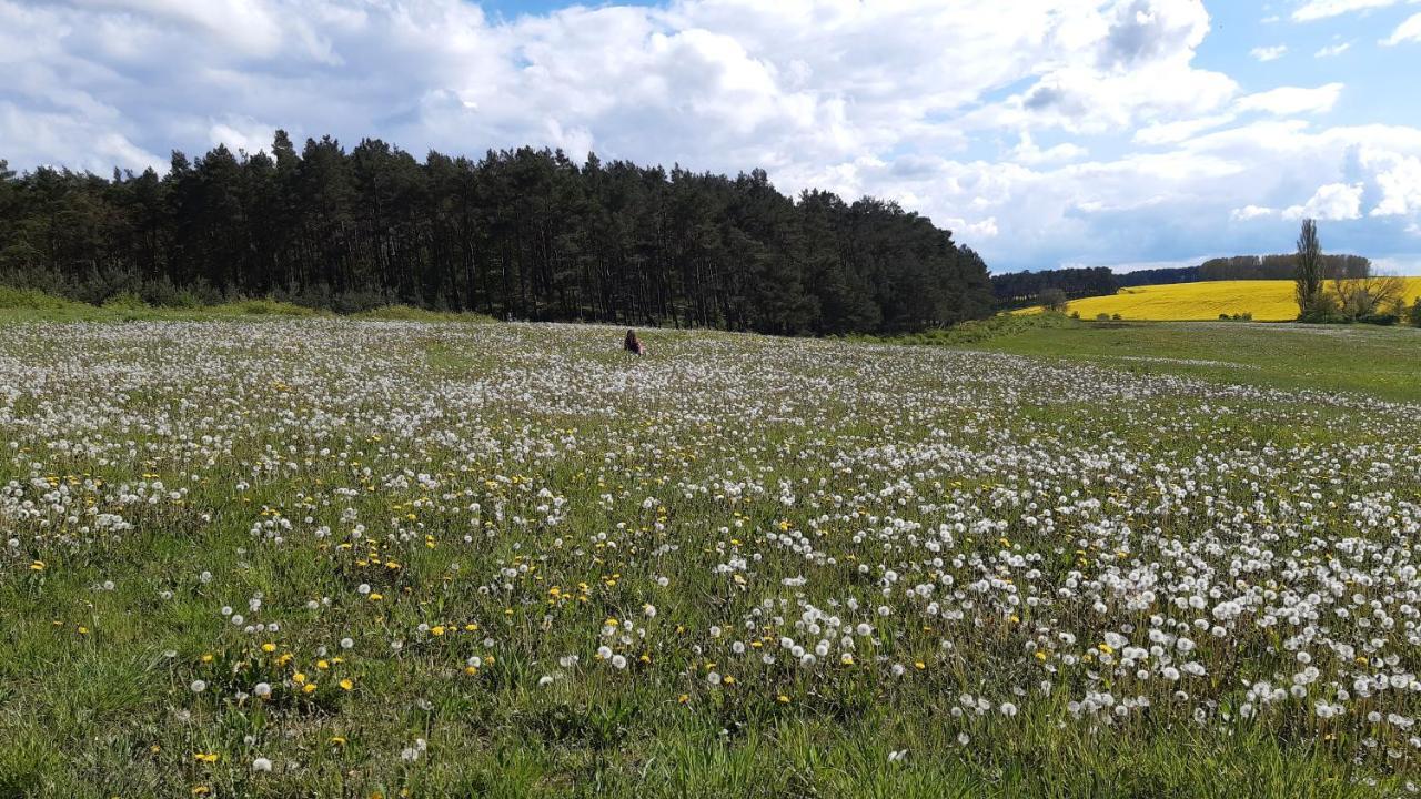Apartmán Christianshof Insel Usedom Stoben Exteriér fotografie